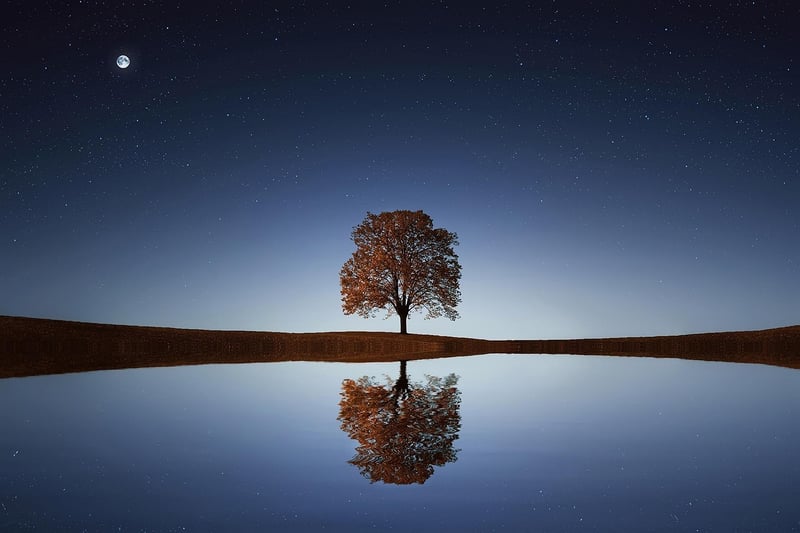Stillness